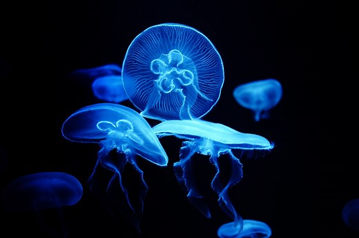 Seven Scientific Discoveries From 2024 That Could Lead to New Inventions