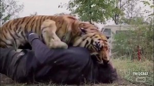 15K views · 433 reactions | BREAKING NEWS  | The Walking Dead Memes | Facebook