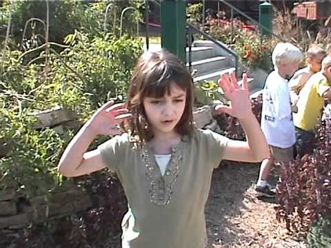 Children explain why their Nature Explore outdoor learning space is important.