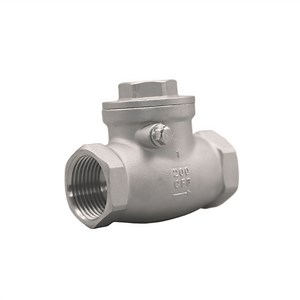 [Hot Item] 304 Stainless Steel Horizontal Check Valve Internal Thread Valve
