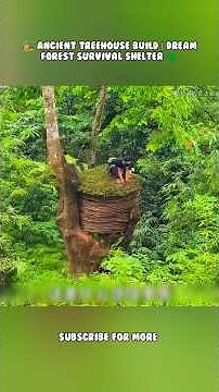 🏕️ ANCIENT TREEHOUSE BUILD | DREAM FOREST SURVIVAL SHELTER 🌲