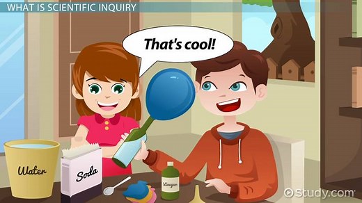 Scientific Inquiry Lesson for Kids: Process & Definition