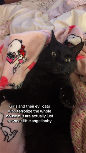 Girls and Their Evil Cats