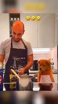 Sloths Moving Fast! 🚀 Rare Footage You Won't Believe!