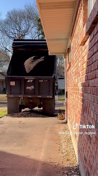 Transforming My Backyard into a Spring Garden Paradise