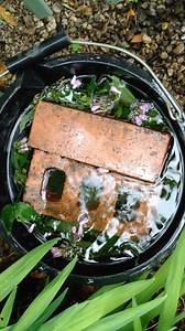 7 Best Uses for Comfrey https://www.growveg.com/guides/7-best-uses-for-comfrey/ | GrowVeg