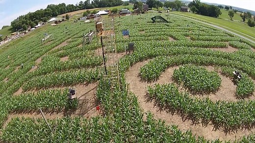 298 reactions · 270 shares | Watch the Cherry Crest Farms corn maze...