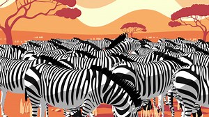 57K views | Welcome to a different kind of rewards program, with more ways to earn points and more ways to use them. | American Express | Facebook