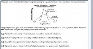 The graph shows the distribution of plant heights in an origina... | Filo