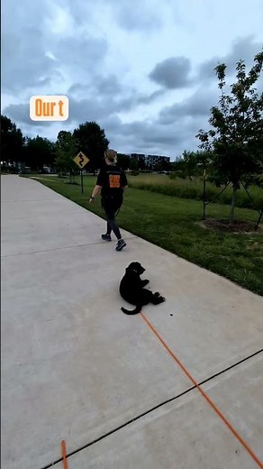 Austin’s Trusted Dog Trainers