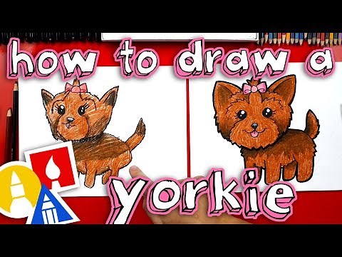 How To Draw A Yorkie