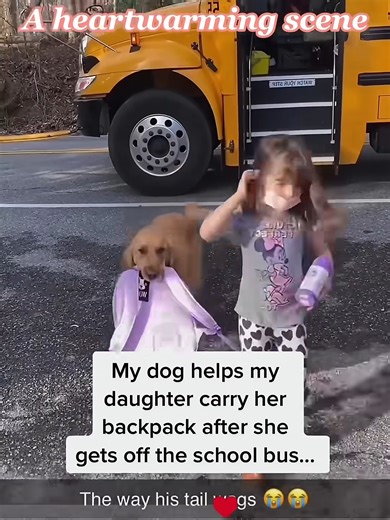 heartwarming unforgetable moments | Forest Life