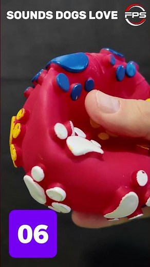 10 sounds that dogs love o hear the most #shorts #viral