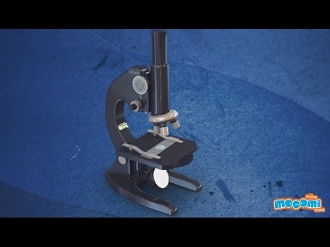 Parts of a Microscope | Mocomi Kids