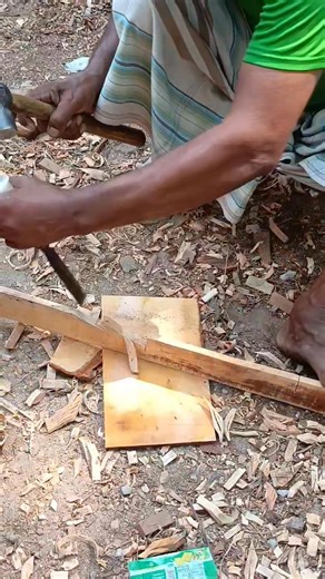 26K views · 252 reactions | Building pigeons house woodworking #building #pigeonloft #woodworking | Suborna fancy pigeon loft | Facebook