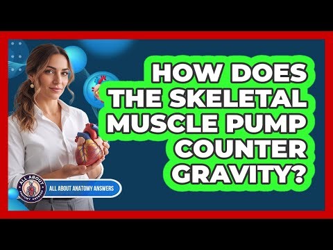 How Does The Skeletal Muscle Pump Counter Gravity?