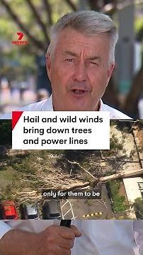 Hail and wild winds bring down trees as storm lashes Sydney