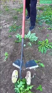 Weed Cutting Made Easy—Garden or Farm!