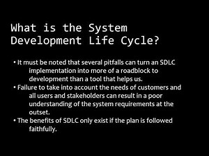 The System Development Life Cycle