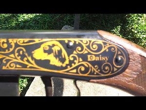 Daisy Model 25, 1977-1978, Box and papers. Storge only.Never shot.