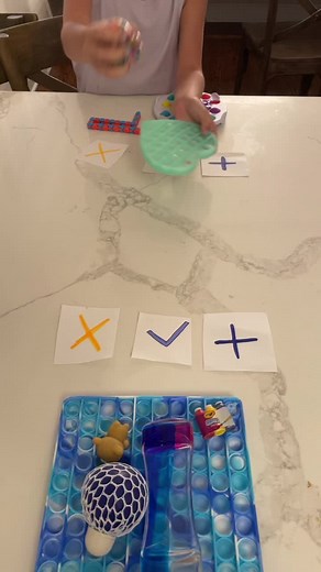 fidget sisters on TikTok