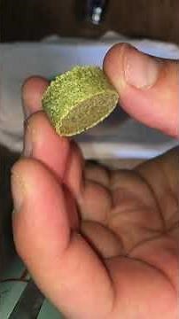 How to use pollen press/kief press