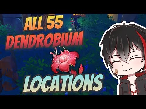 All 55 Dendrobium Locations & Efficient Routes - Genshin Impact Inazuma
