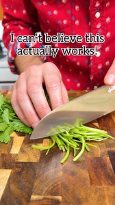 🌿 Best way to store cilantro to make it last longer! #Cilantro #kitchenhack #mealprep #fblifestyle | Jeff & Lauren