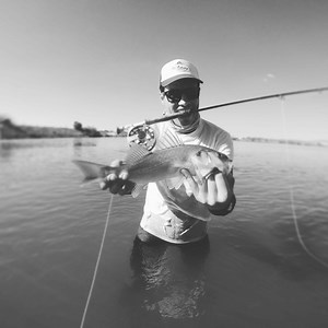 Fly Fishing in Portugal: Sea bass in the Algarve