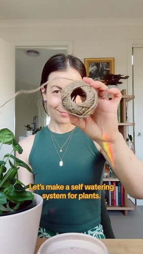 11K views · 131 reactions | Easy DIY plant watering system! How to...