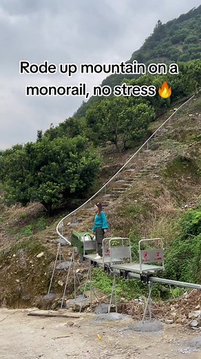 Monorail Installation for Large Plantations and Complex Terrain