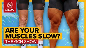 Are You Training Wrong? New research suggests you might be! Si and Dan reveal how understanding their muscle fibre types could have made them better cyclists back in the day. In this video, they dive into the science behind muscle fibre types – fast twitch vs. slow twitch – and debate whether every cyclist should know theirs to optimize their performance and enjoy a better riding experience. Could this be the secret to improving your training? | Global Cycling Network