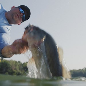 151K views · 567 reactions | Sharpen your attack with sharper details. | Humminbird | Facebook