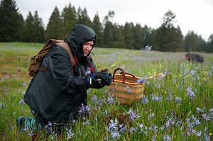 First Foods: How Native people are preserving the natural nourishment of the Pacific Northwest