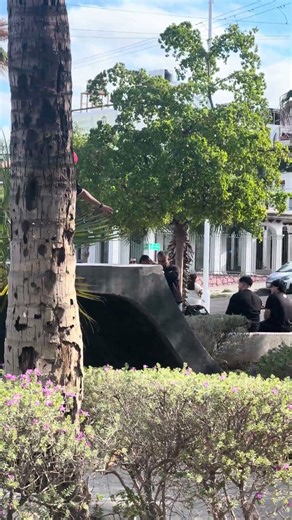 Mini ramp #skateboarding