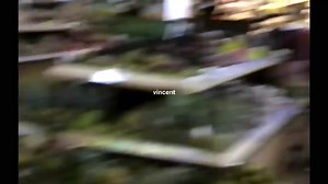 ''his eyes, his smile, his hair. i love it" | Vincent Music