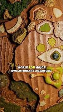 The Supercontinent Cycle: Nuna to Rodinia - Earth’s Geological Evolution