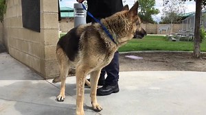 7.7K views · 97 reactions | NO LONGER LISTED SCHEDULED FOR...