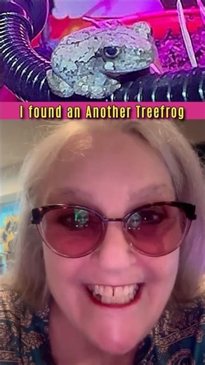 I Found a Tiny Treefrog Hiding in My Indoor Habitat 🐸😱