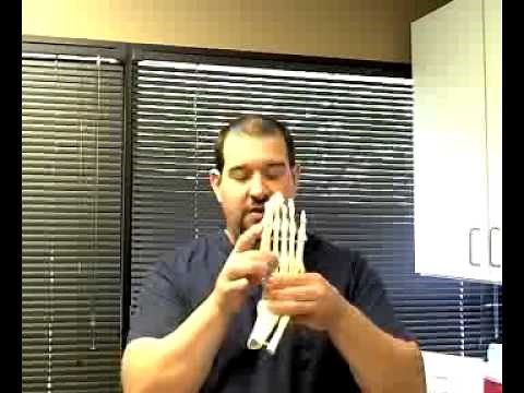 Metatarsal Fractures