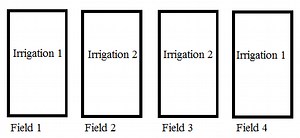 Split-Plot Design: Simple Definition and Example
