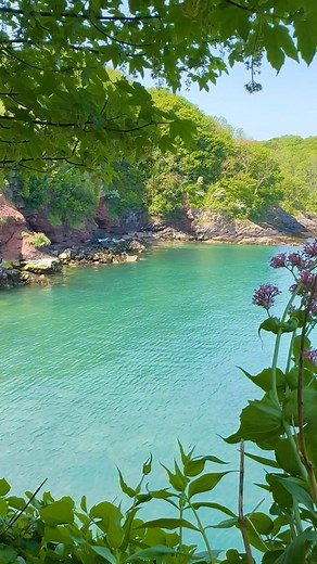 113K views · 955 reactions | Embrace the Breathtaking Beauty of Fishcombe Cove, Brixham. ️ Let the vibrant Spring colours, fresh scents, and serene views transport you to a world of pure bliss. https://www.englishriviera.co.uk #EnglishRiviera #Devon | The English Riviera | Facebook