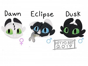 Names Toothless And Light Fury Babies