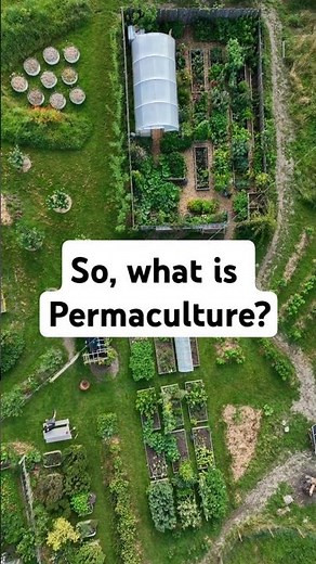 What is Permaculture?