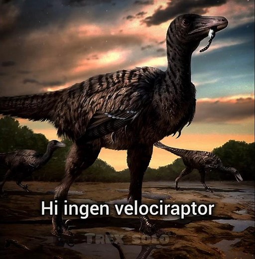 the real size of velociraptor #dinosaur #paleontology #jurassicworld #prehistoric #trending