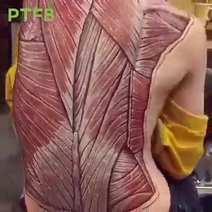 15K views · 258 reactions | Back Muscle Action | Spine Physiotherapy & Rehabilitation Centre | Facebook