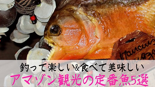 アマゾン川の魚5選!観光で食べられる巨大魚から危険種まで - ぶら〜りブラジル