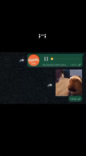 Escondido por Amor: Memes e Mensagens no WhatsApp