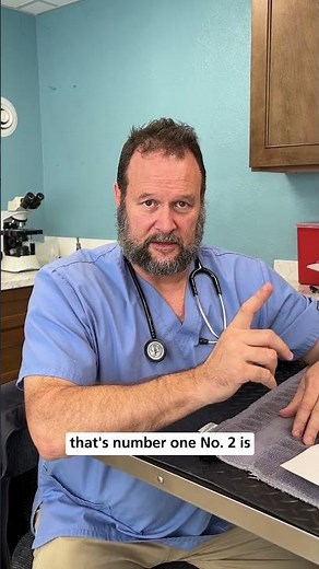 How Do You Know When to Euthanize Your Pet? by Marc Smith, DVM, MS