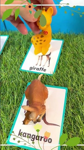Flashcard Frenzy: Match Giraffe, Kangaroo & Lion Zoo Toys!